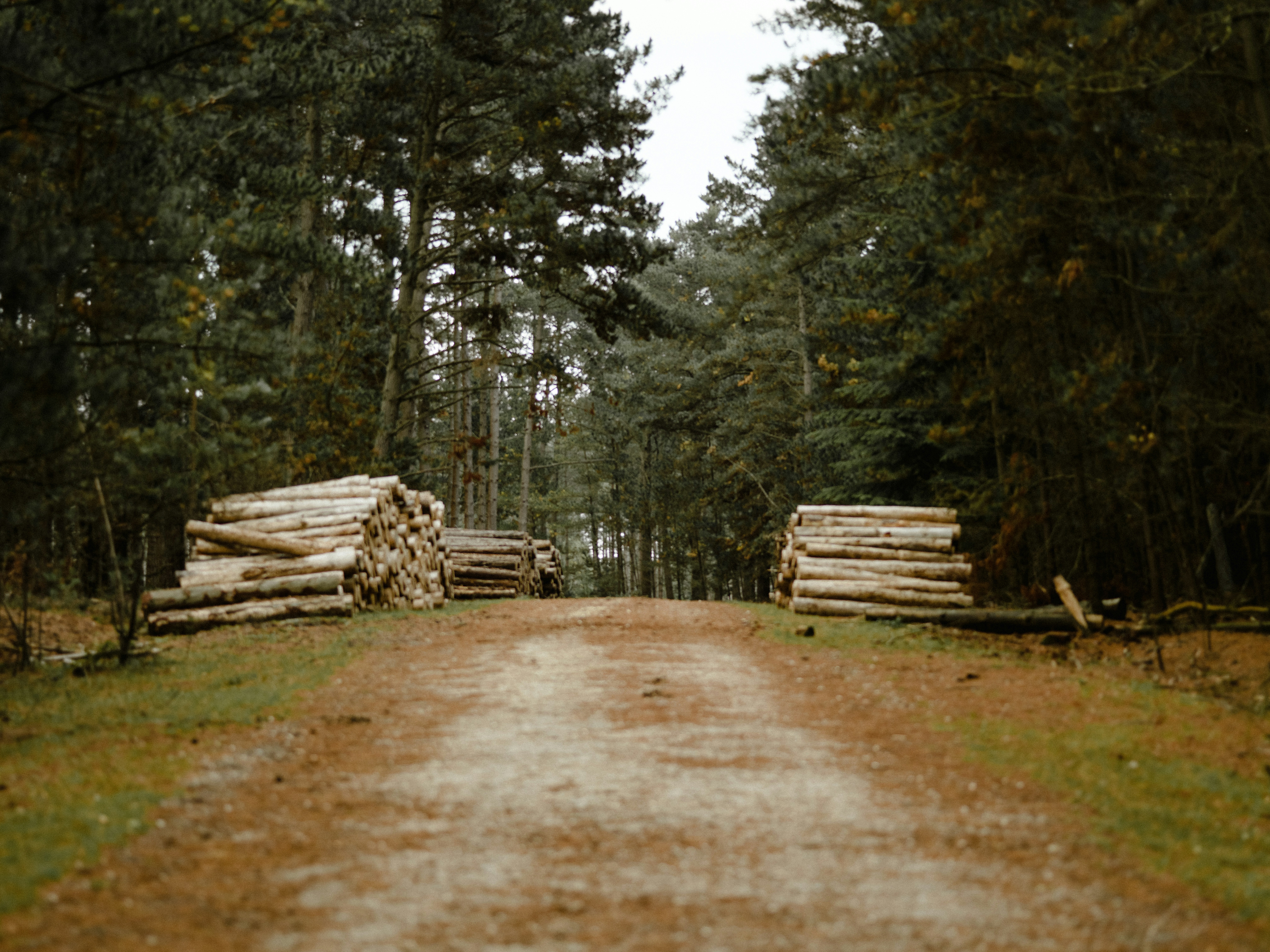 Photo by anniespratt