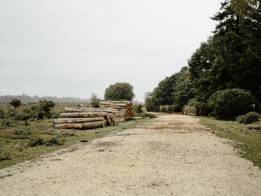 beige dirt road