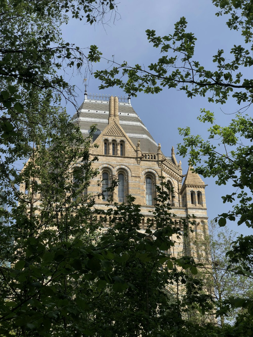 architectural photography of brown and gray house