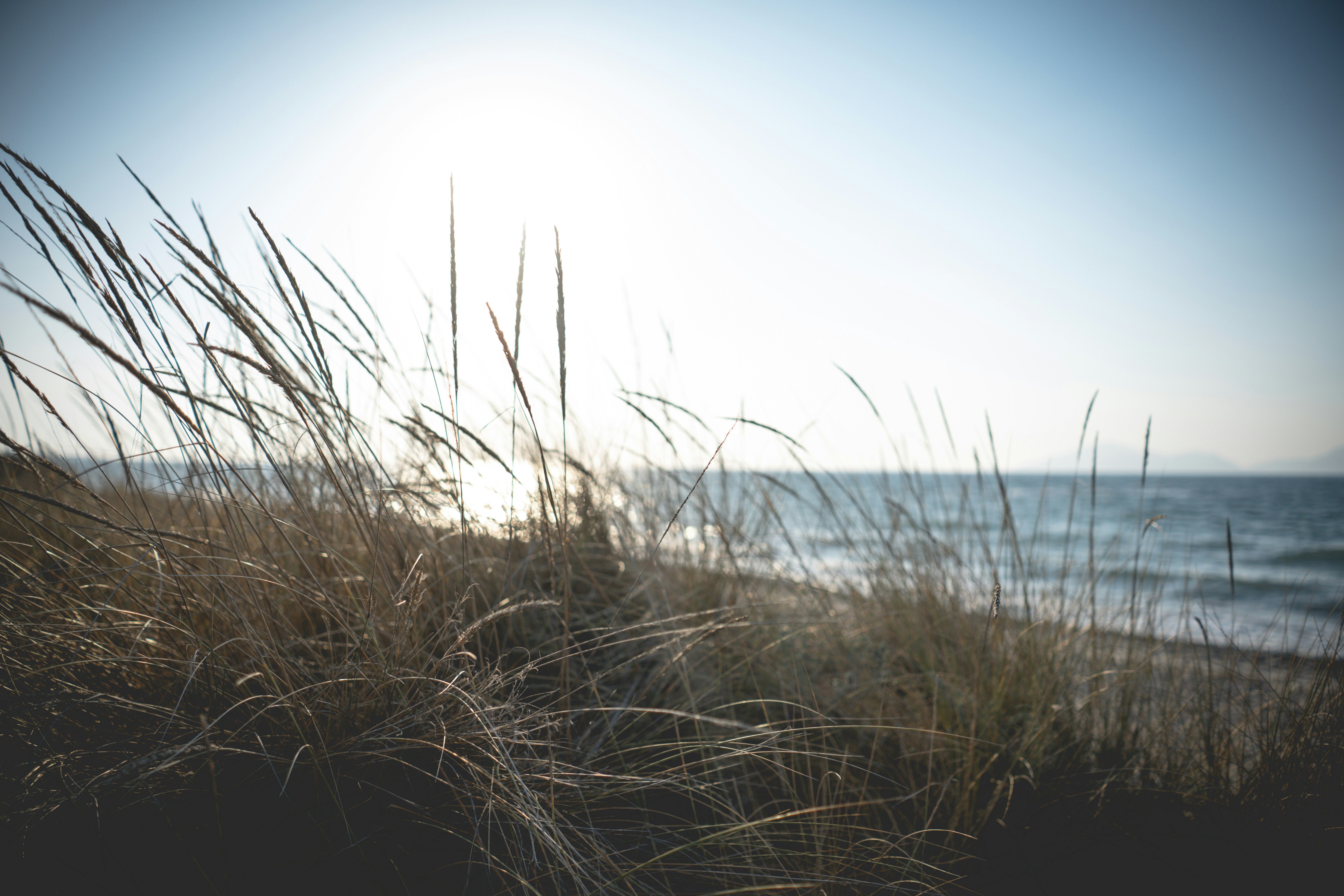 Photo by simontartarotti