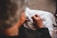 An elderly person is sewing or embroidering on a piece of white fabric, with detailed focus on their hands. The lighting is warm and soft, highlighting the texture of the skin and fabric.