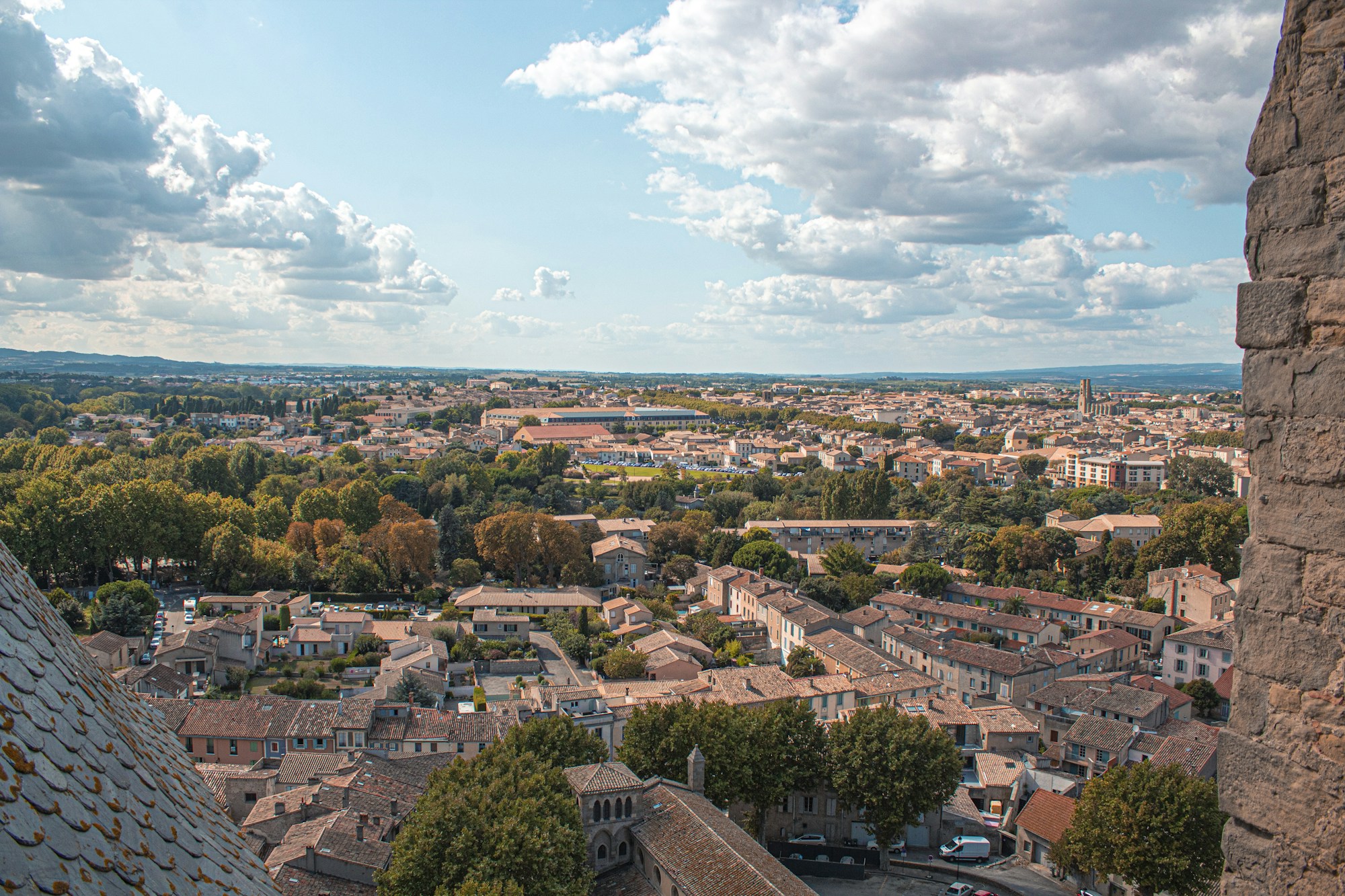 Carcassonne's Local Cuisine: Discover Typical Dishes & Traditions