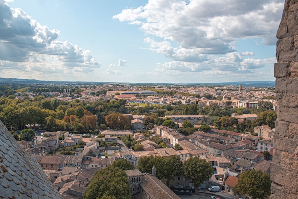 Carcassonne's Local Cuisine: Discover Typical Dishes & Traditions