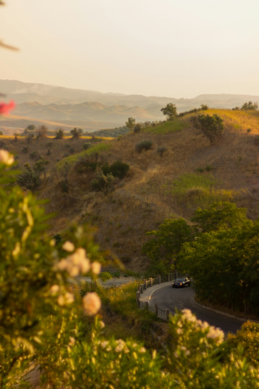 landscape photography of brown mountain