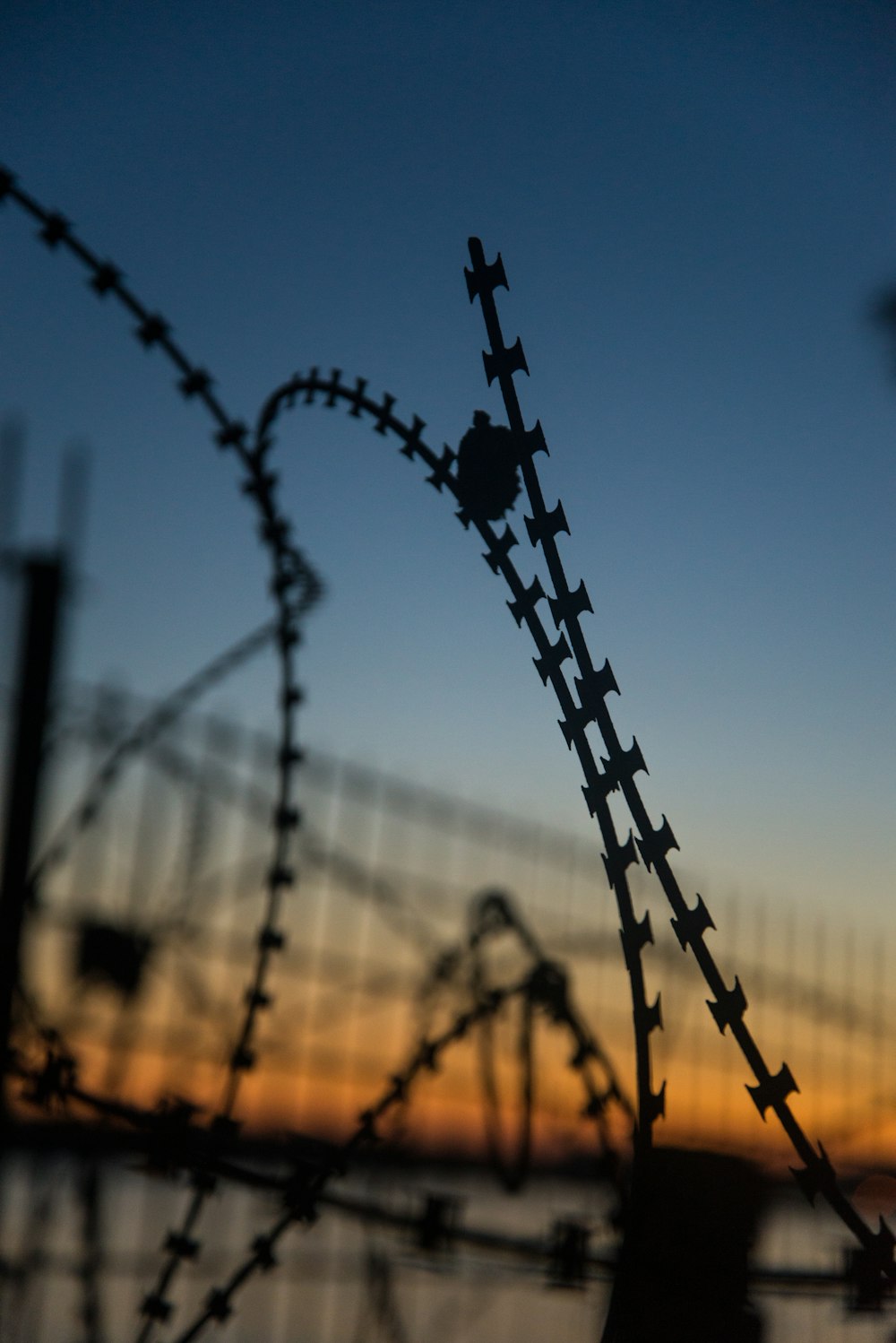 silhouette of wires