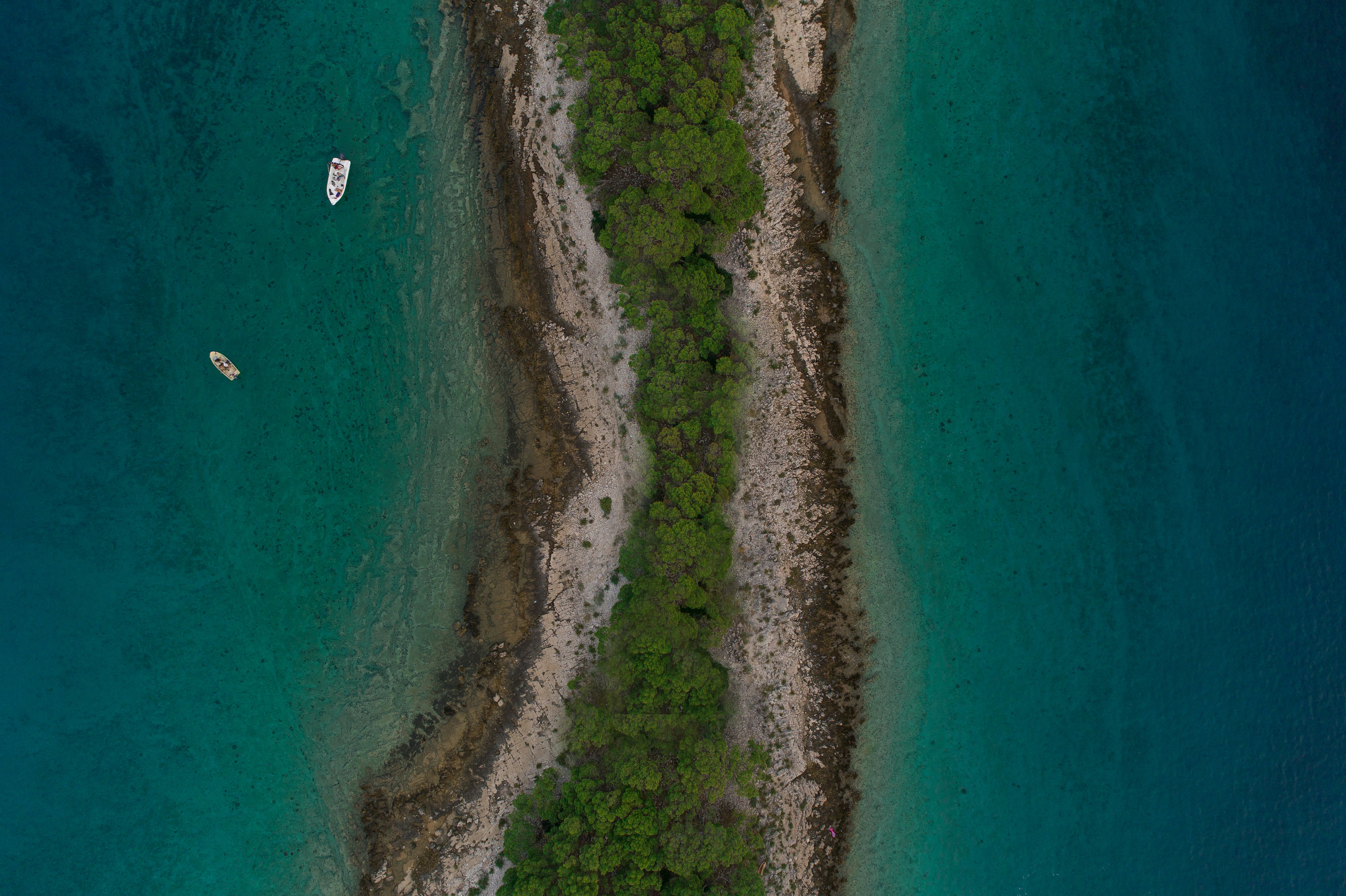 aerial photography of green-leaved trees