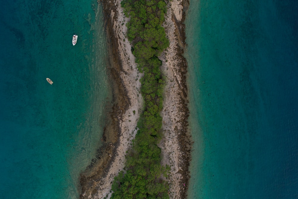 aerial photography of green-leaved trees