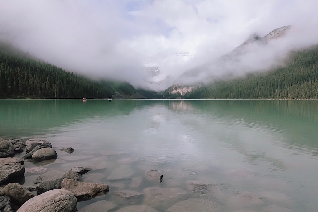 calm body of lake