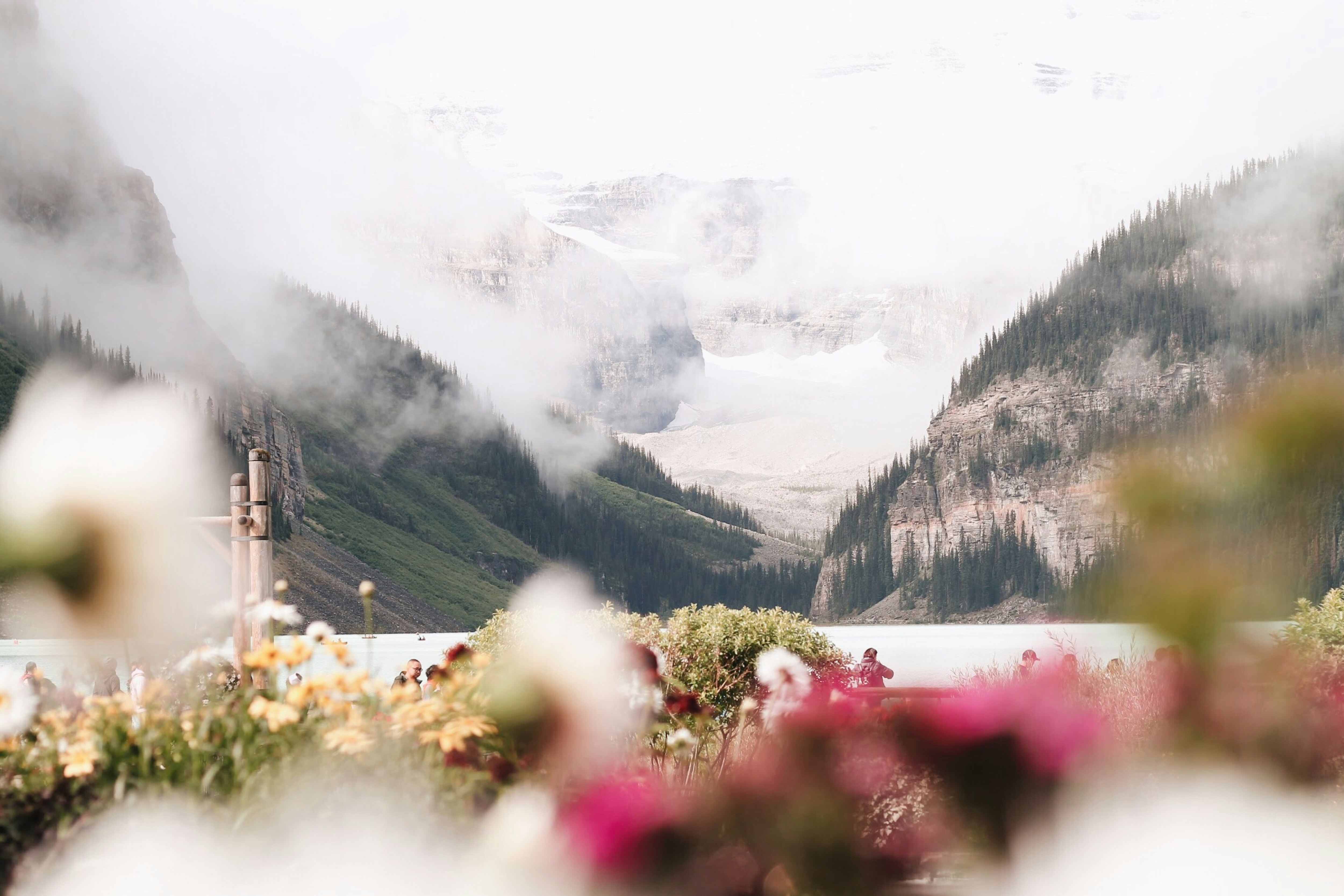 Canada Vista