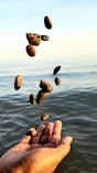 person throwing stones on blue sea