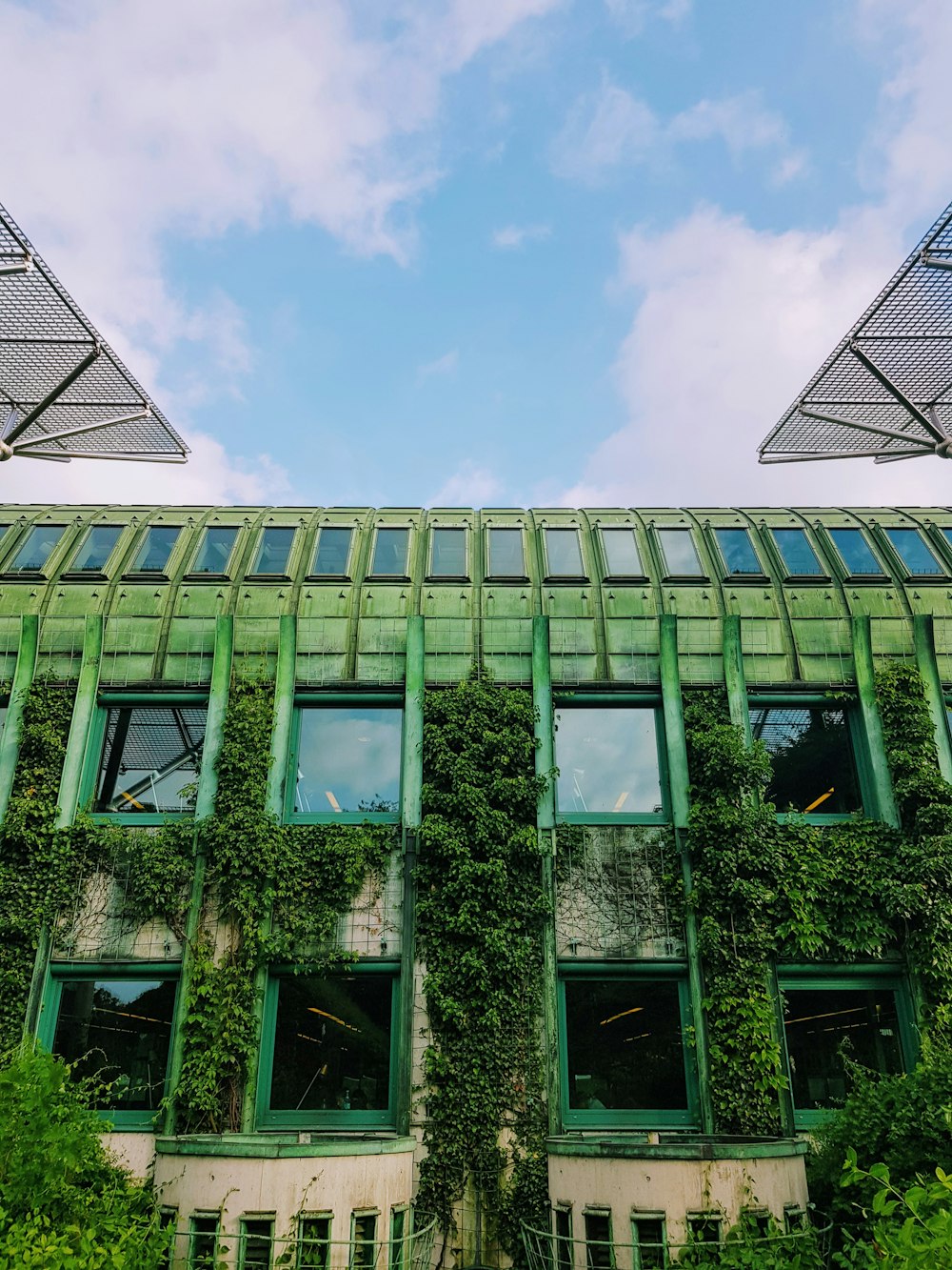 trees near building