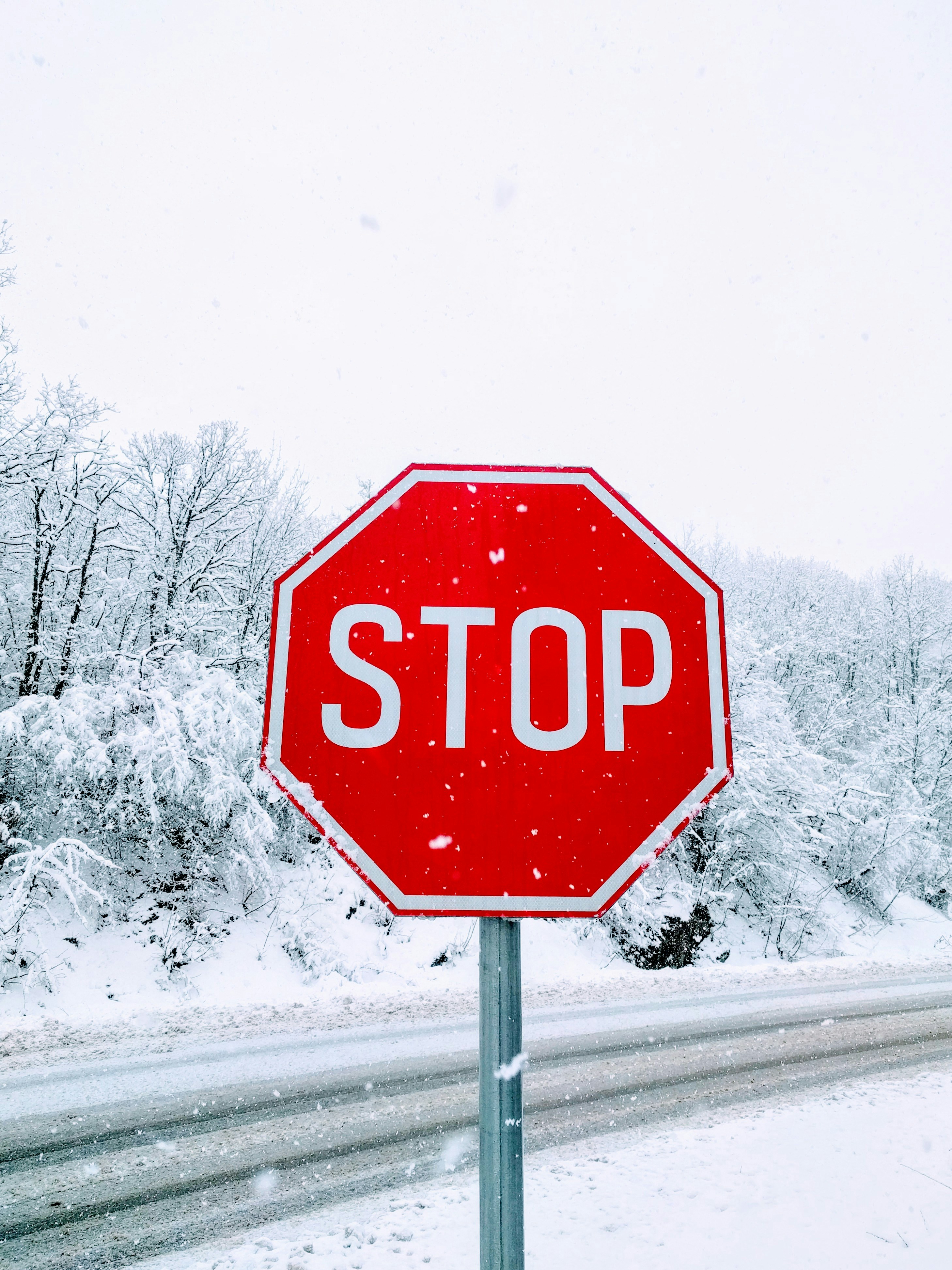 Download Stop Sign Pictures Download Free Images On Unsplash