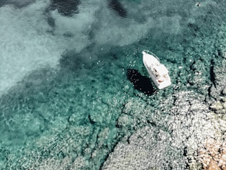 white boat photography