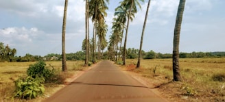 best Hidden Gems in Goa