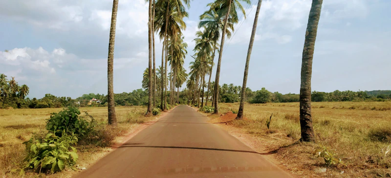 Best Walking Paths and Streets in Anjuna to Explore on Foot