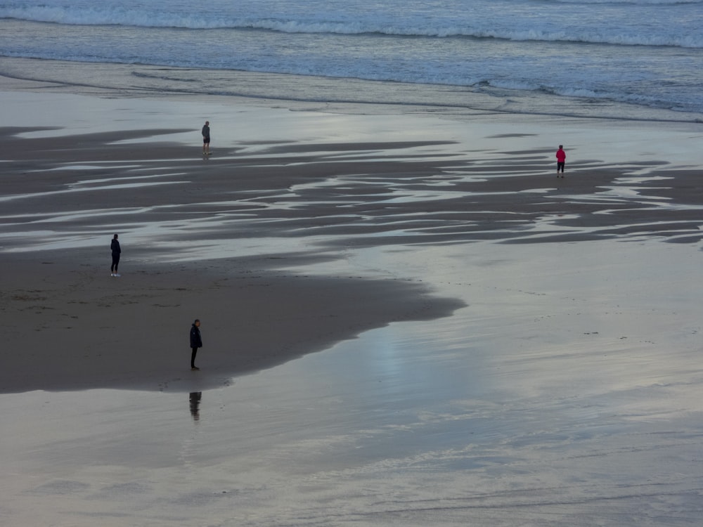 Cuatro personas de pie en la orilla del mar durante el día