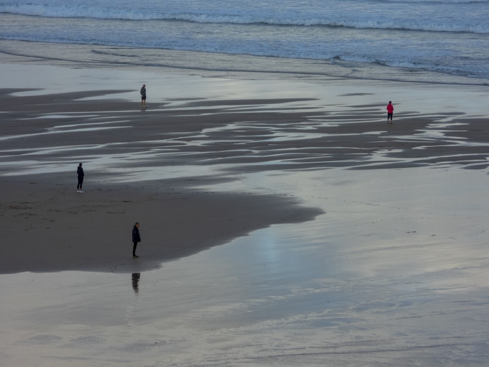 four persons standing on seashore during day