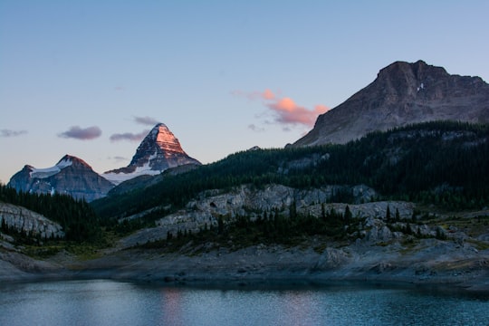 trees on mountain under clear sky at daytime in Mount Assiniboine Canada