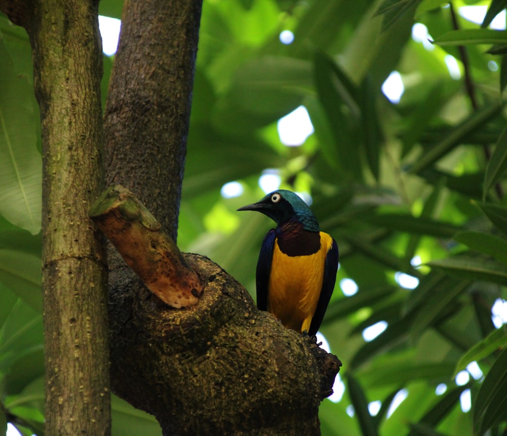 bird perched on branch