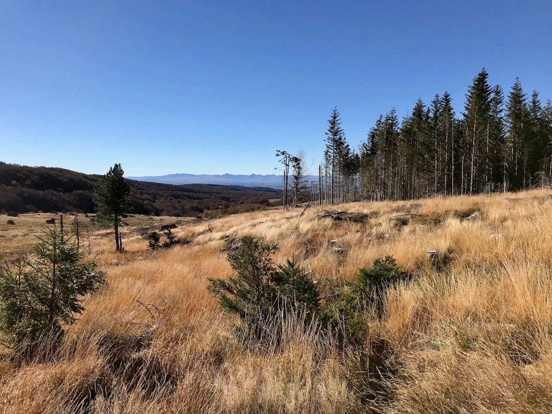 photo of Chastreix Ecoregion near Réserve naturelle nationale de Chastreix-Sancy