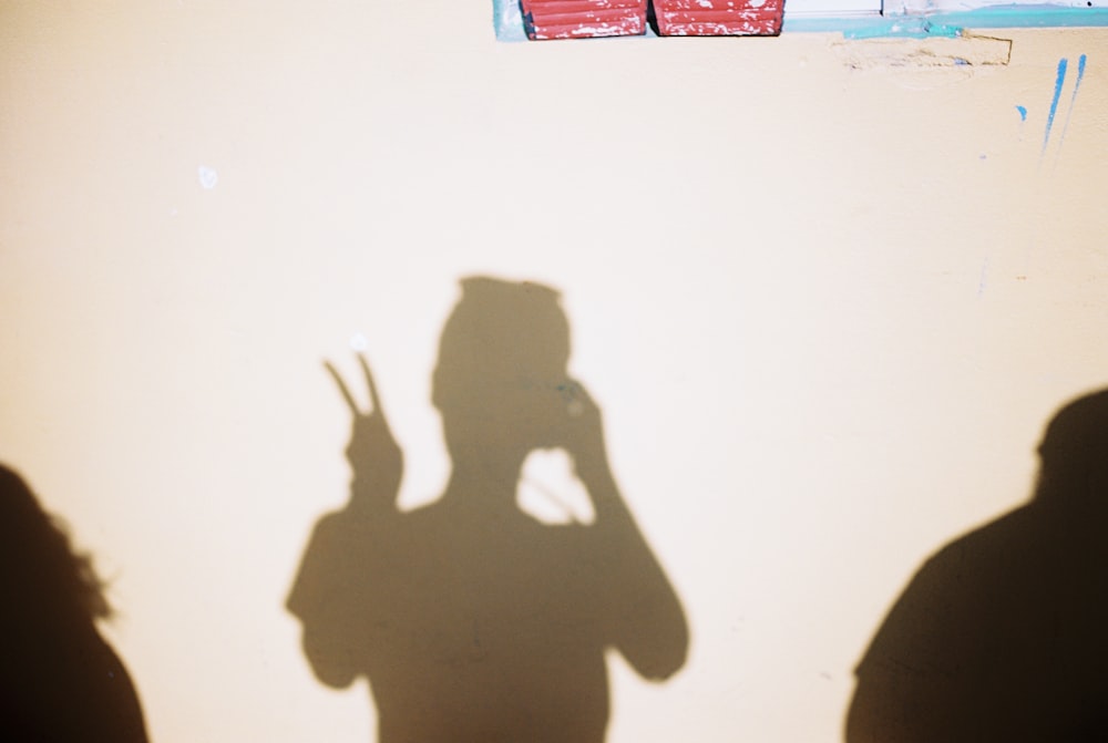 silhouette of person making peace hand sign