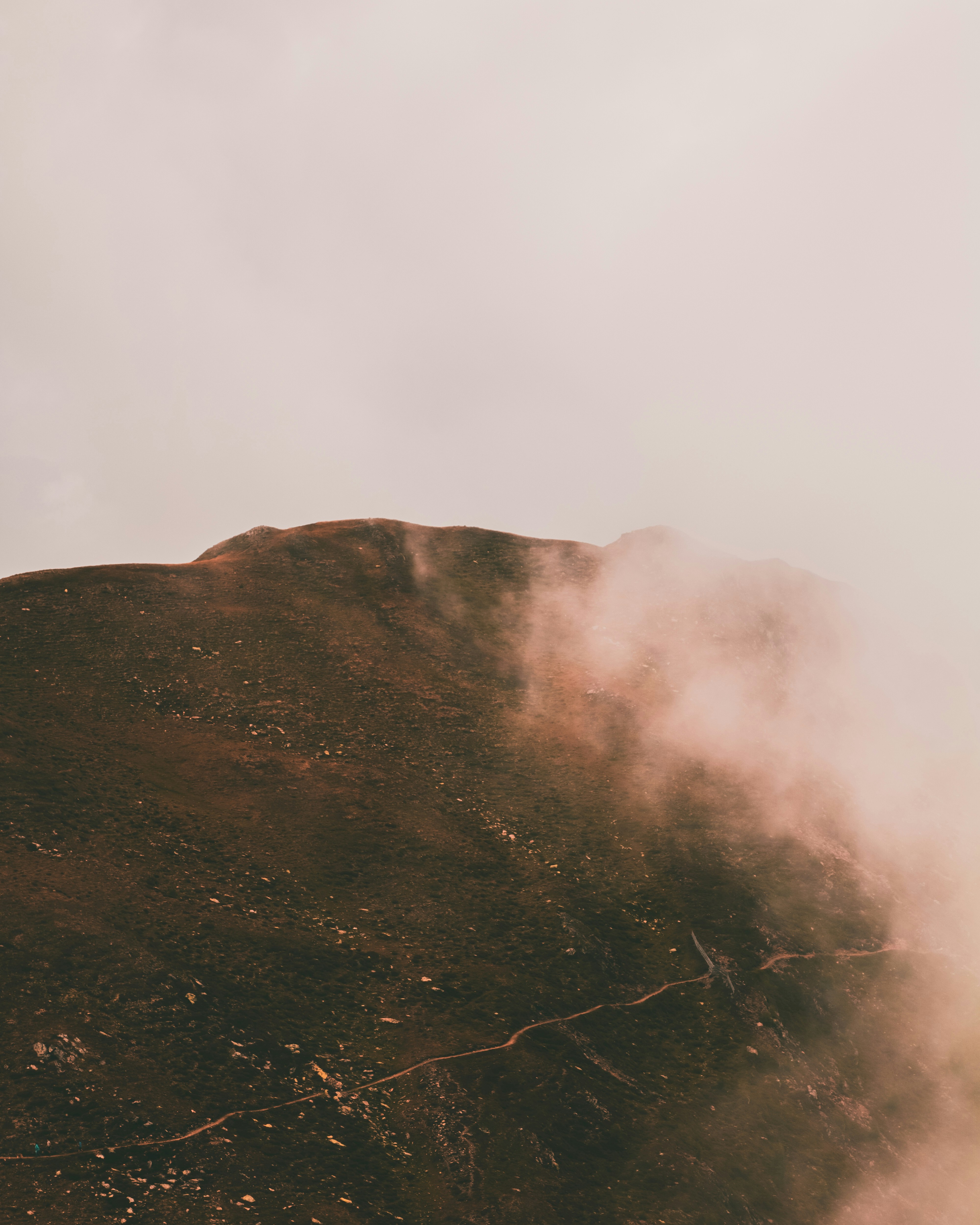 Photo by andreaferrario