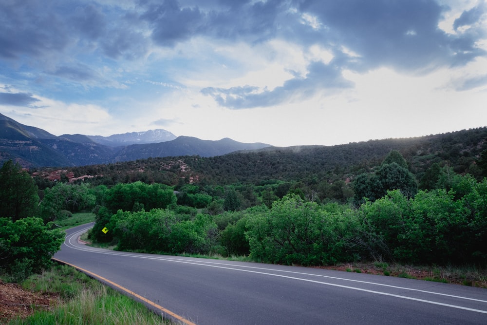 a road in the middle of a lush green forest