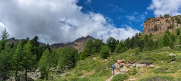 A scenic mountain landscape with lush green trees and shrubs on a hillside. Two hikers are walking along a rocky path, surrounded by tall pine trees under a bright blue sky with fluffy clouds. In the background, there are rugged mountain peaks.