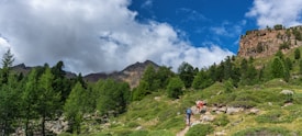 A scenic mountain landscape with lush green trees and shrubs on a hillside. Two hikers are walking along a rocky path, surrounded by tall pine trees under a bright blue sky with fluffy clouds. In the background, there are rugged mountain peaks.