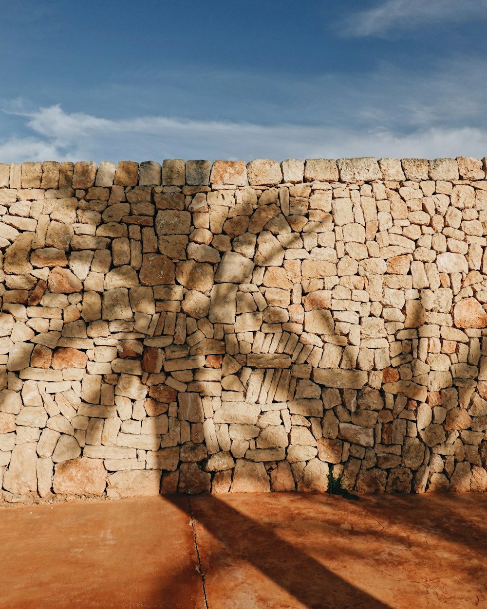 brick wall with coconut palm reflection