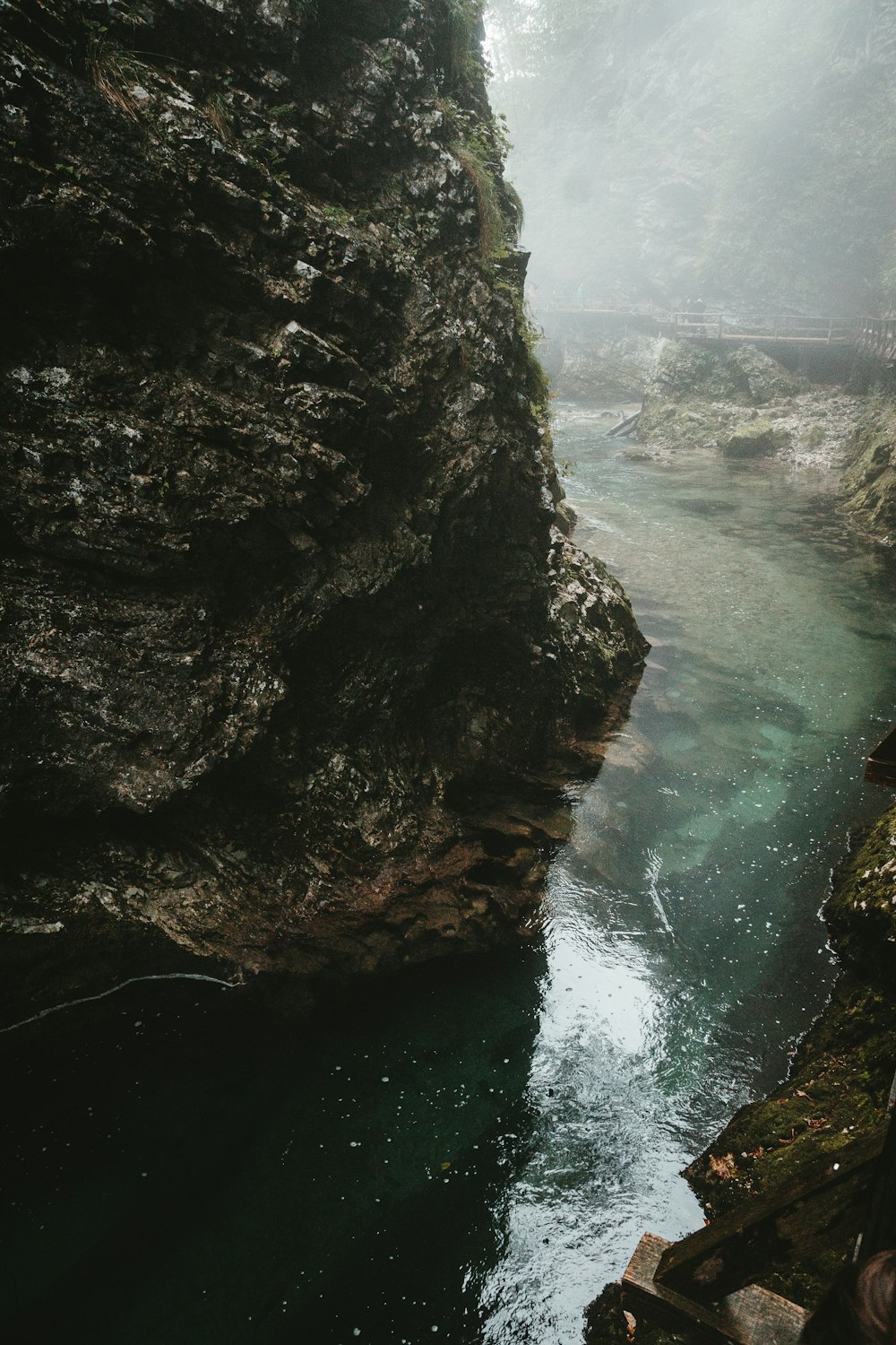 rock formation near ocean