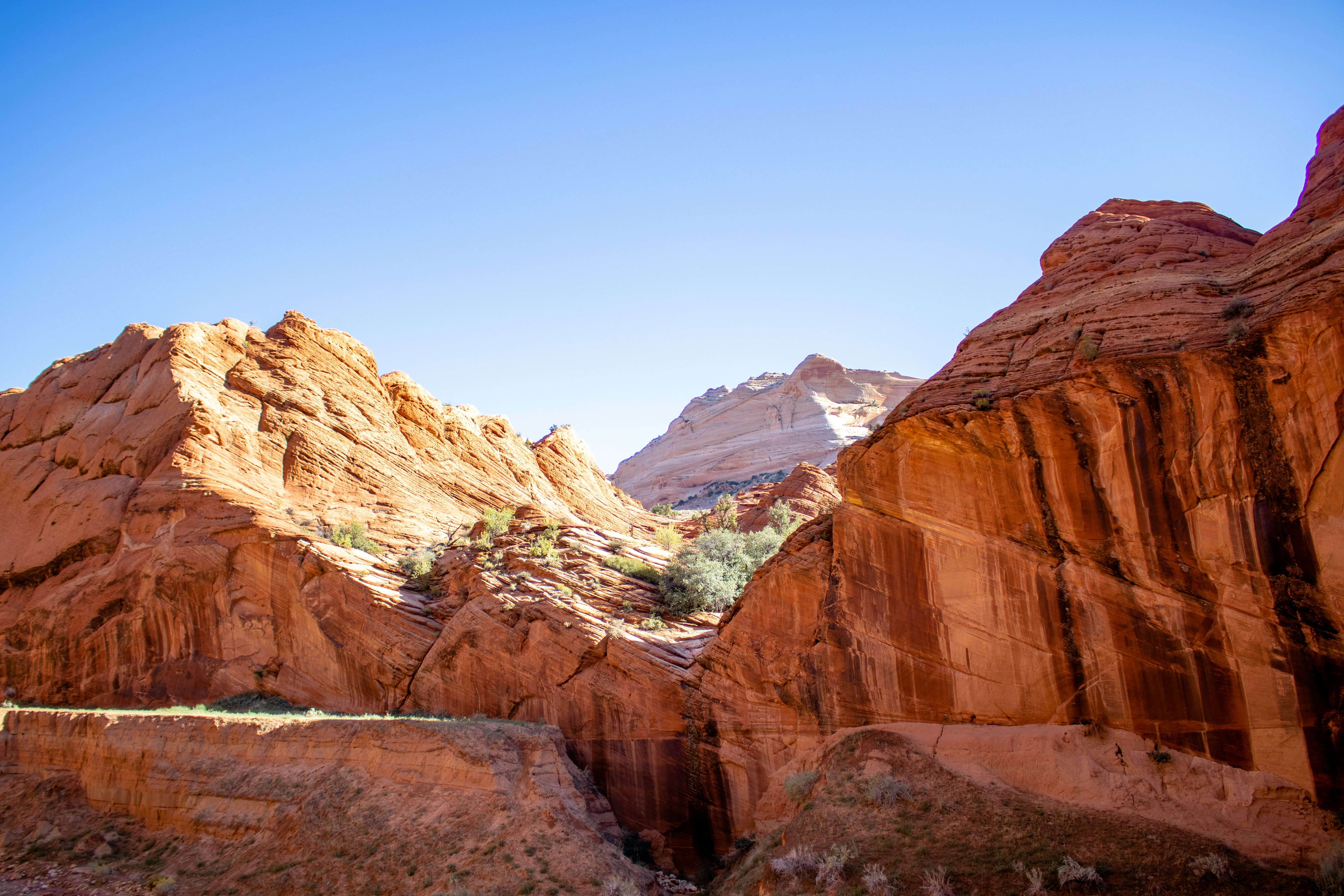 Photo by tuckerhatch10