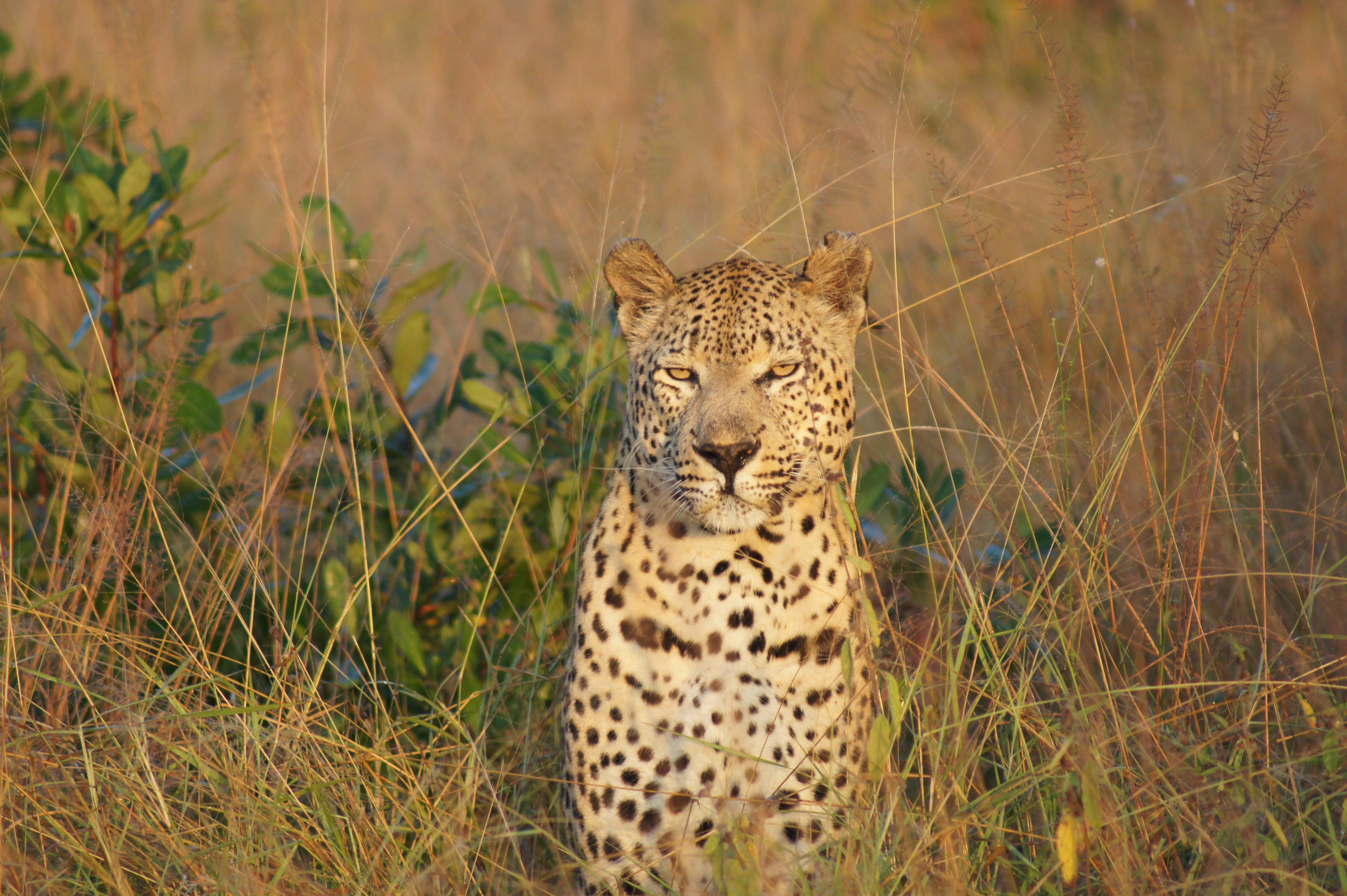 Photo by lianarochette