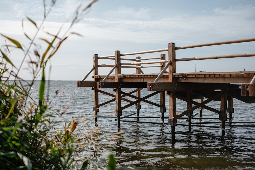 brown wooden dock on calm body of water during daytime