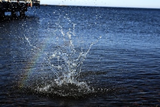A playful splash of water caught mid-air during a carefree afternoon by the lake.