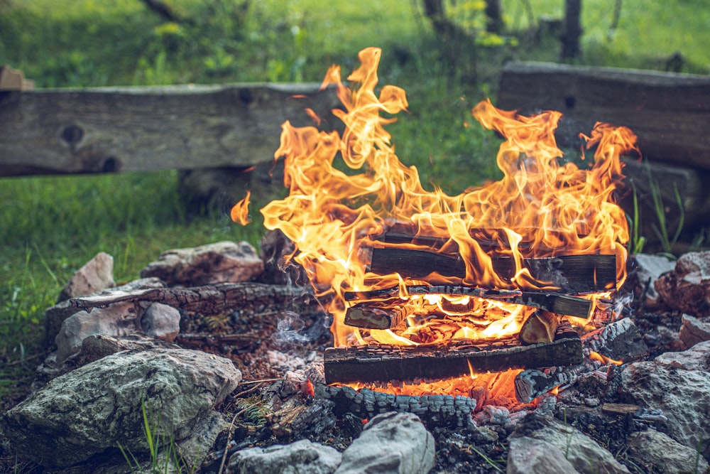 Feu de joie près de l’herbe verte