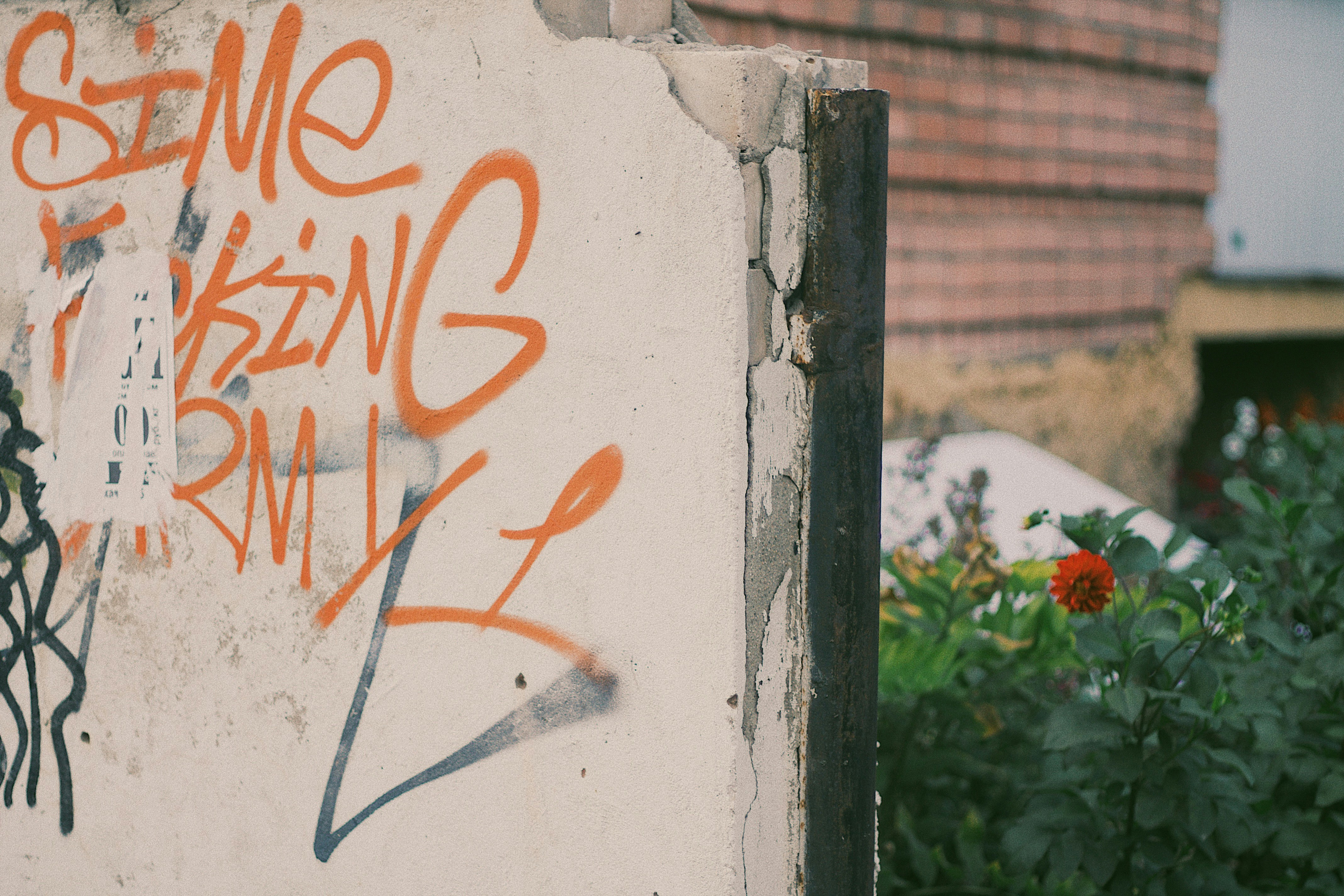 Photo by buzzinuniverse