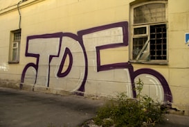 A large piece of graffiti with the letters 'TDF' in bold, outlined with a dark purple color, adorns the side of an old beige building. The building has a worn appearance, with a damaged window featuring broken panes and green weeds growing at the base of the wall.