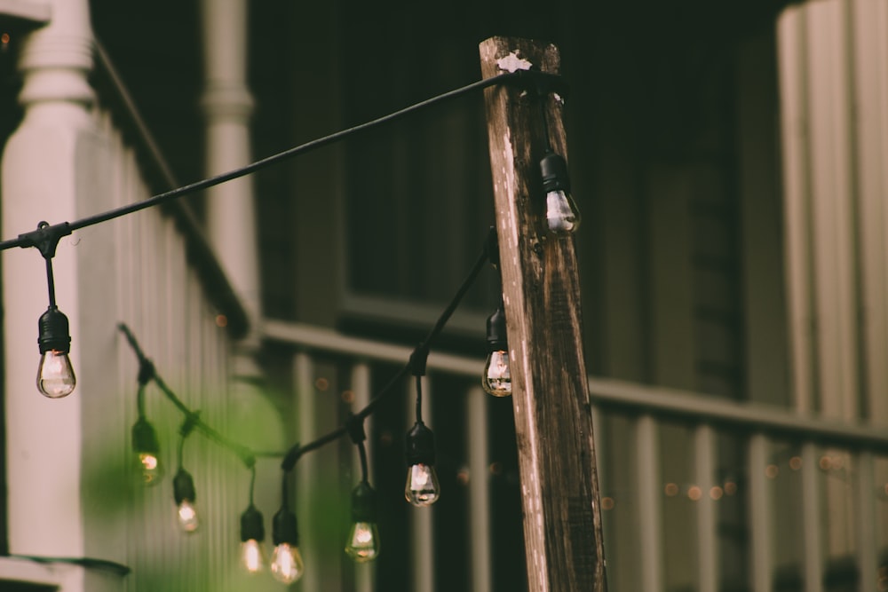 close-up photography of hanging bulb lights