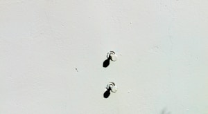 Drywall Screws