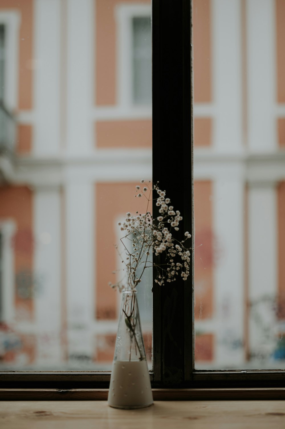 white Baby's Breath flowers in vase near window