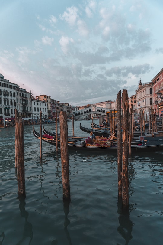 boats docked beside posts during day in Rialto Bridge Italy