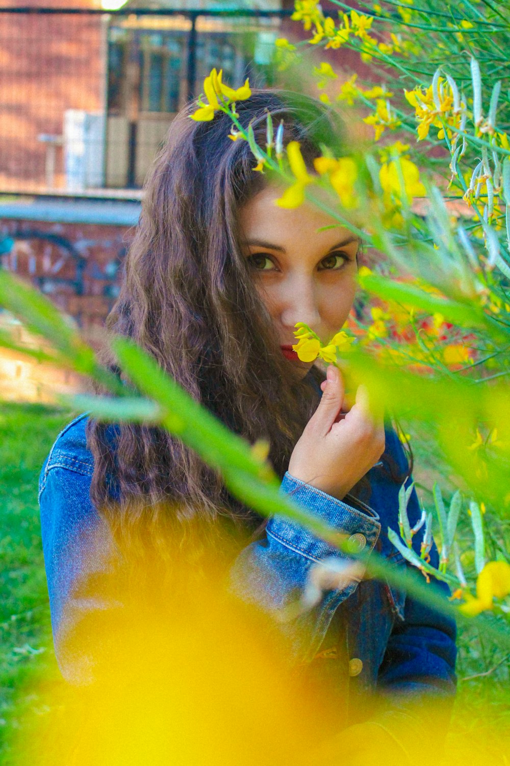 woman touching yellow flowers