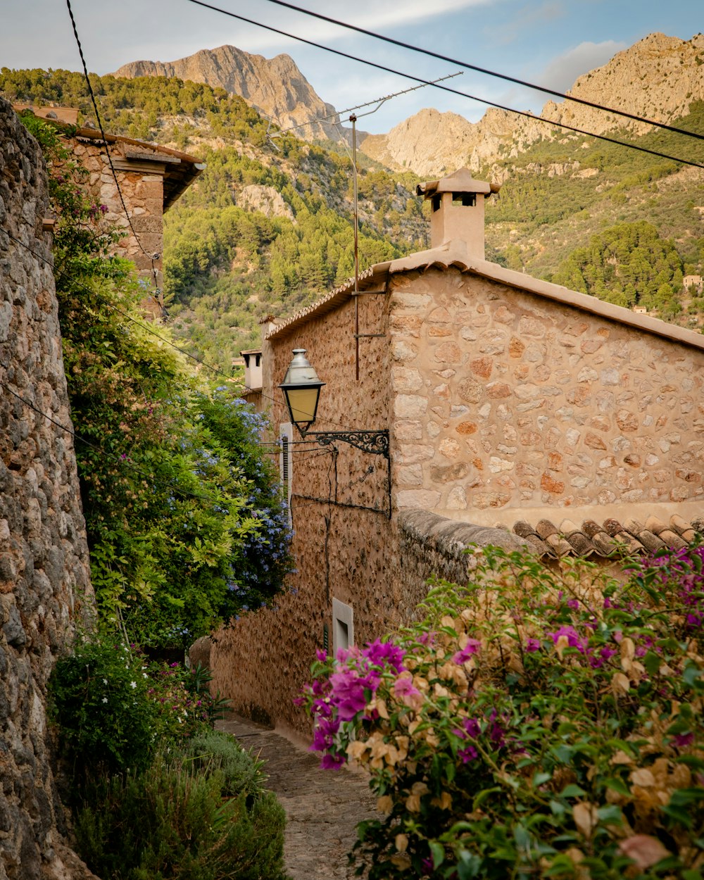 house surrounded by flowers