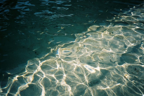 Sunlight glistens on the surface of clear water, creating a pattern of light and shadow. The water appears calm with gentle ripples, reflecting a serene and tranquil environment.
