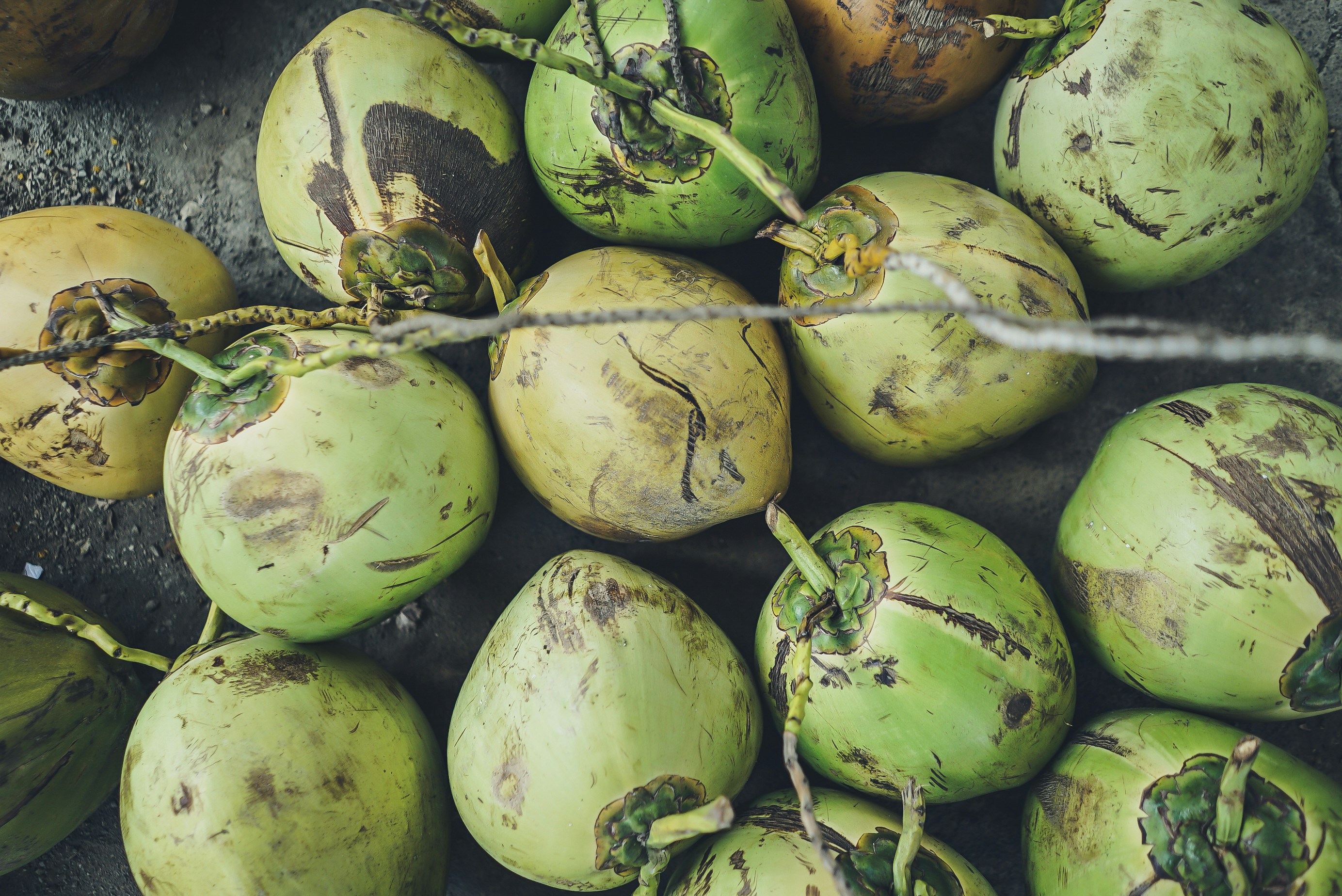 A click of coconuts 