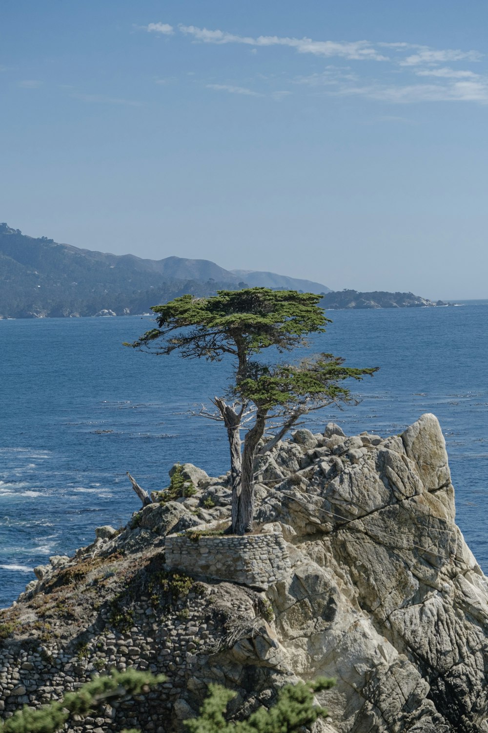 green tree on top of rocky island mountain during day