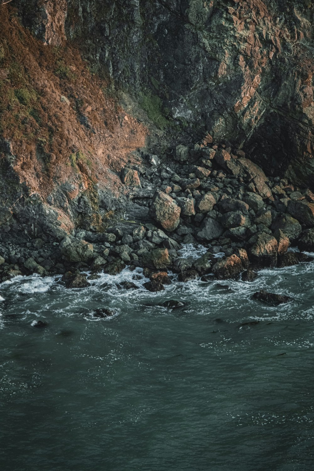 rocky shore during day