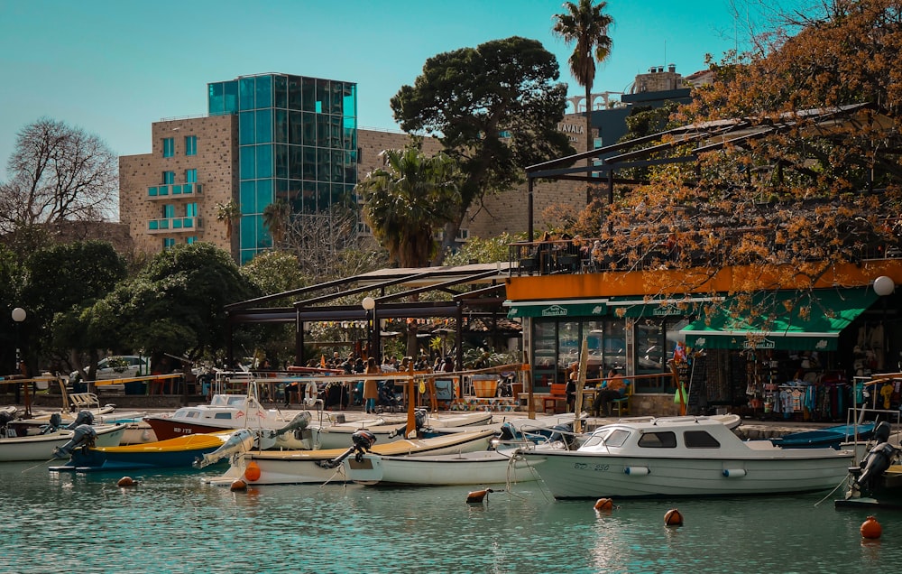 Barcos en el océano