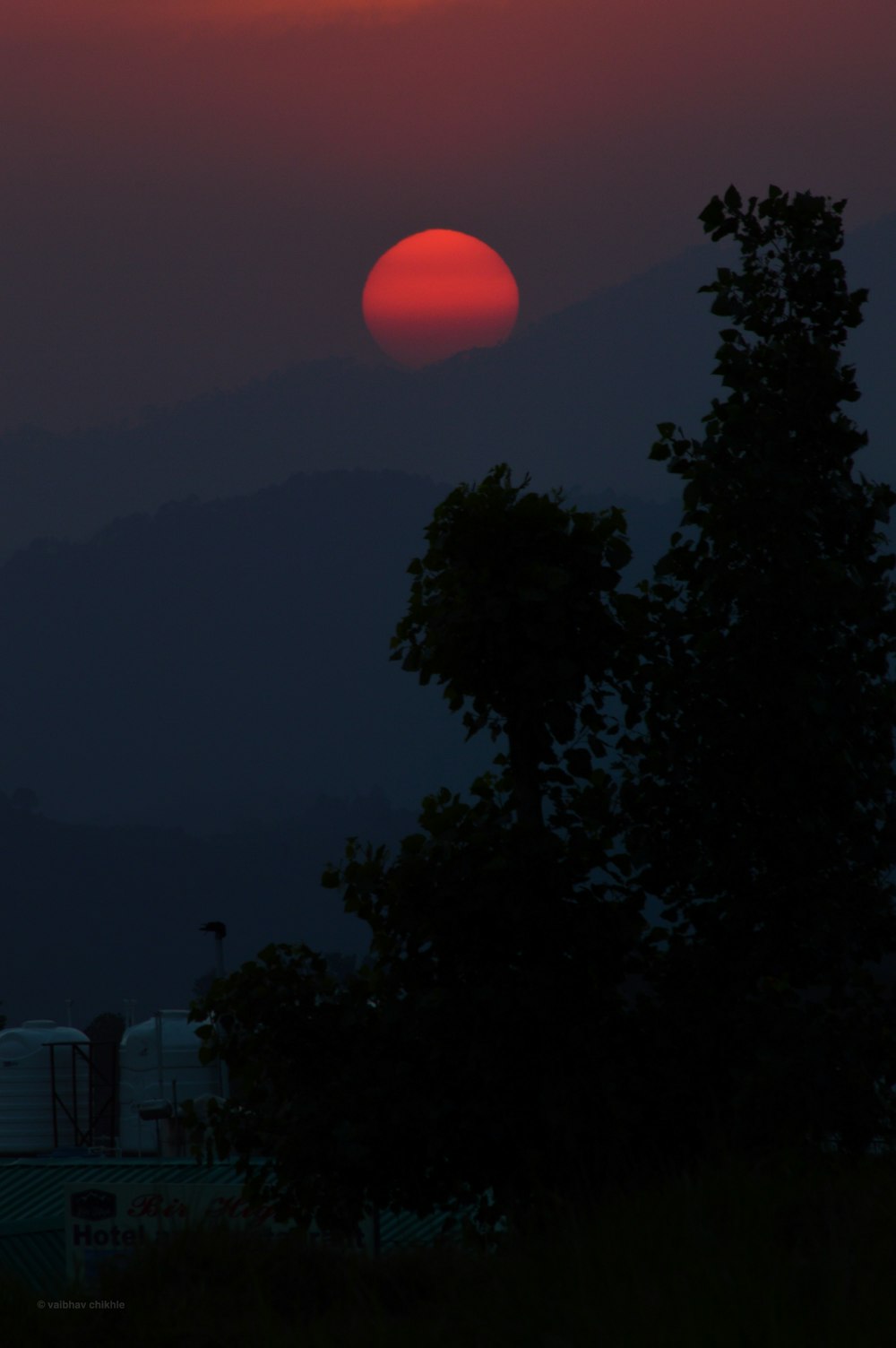 silhouette of trees viewing red full moon